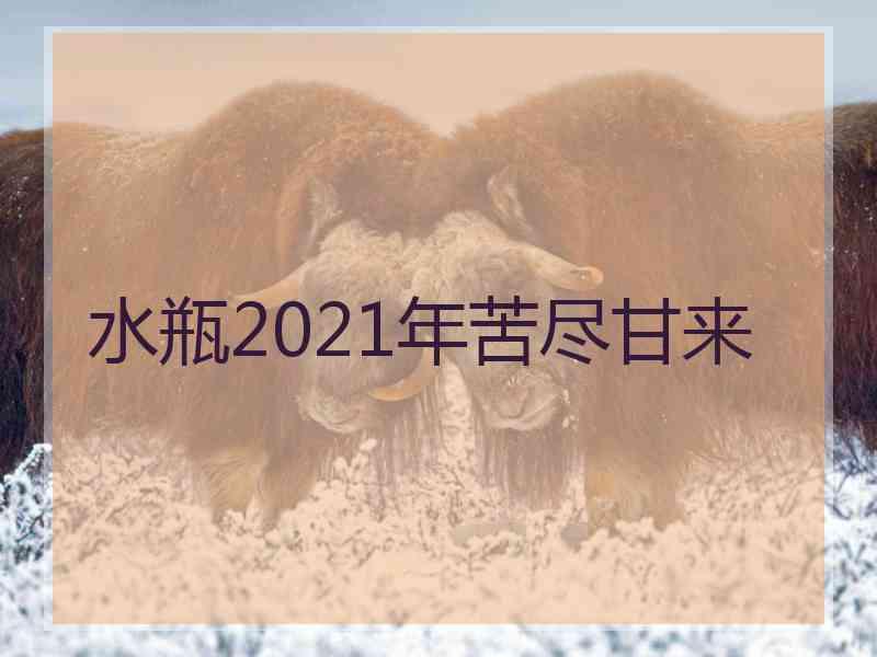 水瓶2021年苦尽甘来