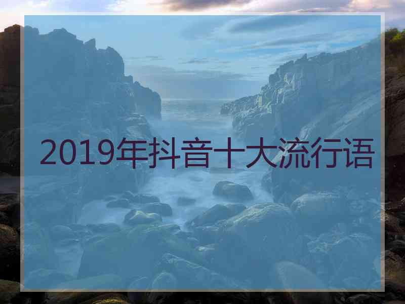 2019年抖音十大流行语