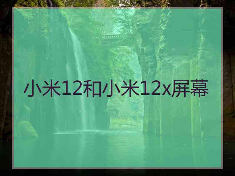 小米12和小米12x屏幕