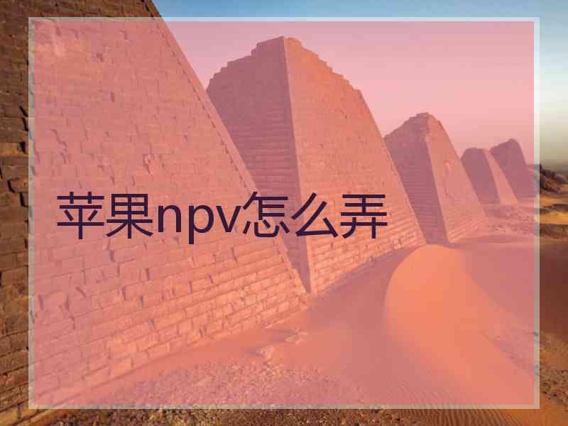 苹果npv怎么弄