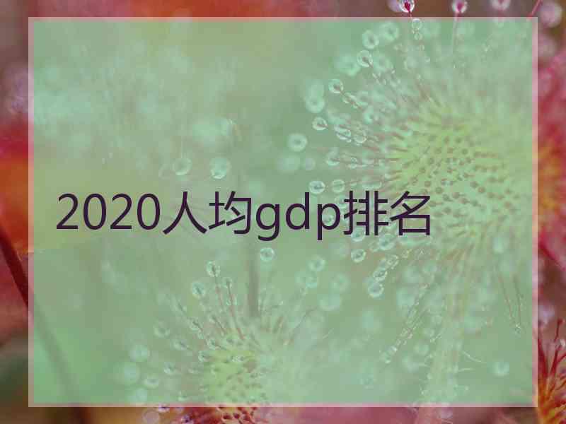 2020人均gdp排名