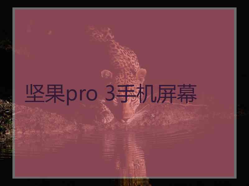 坚果pro 3手机屏幕