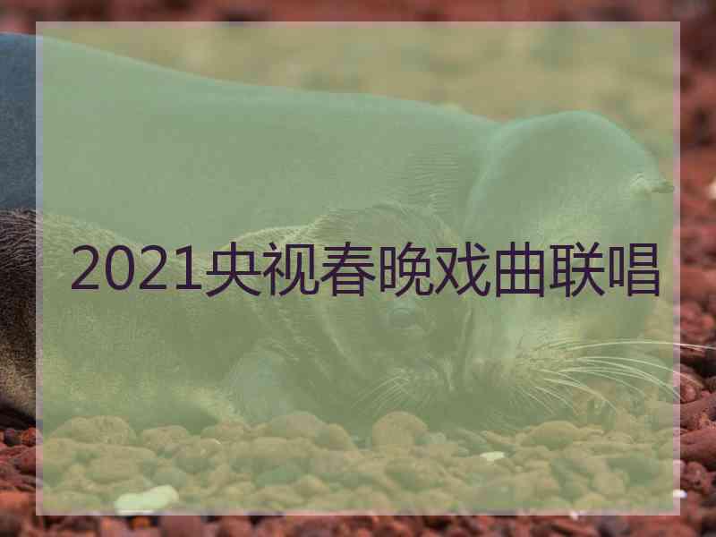 2021央视春晚戏曲联唱