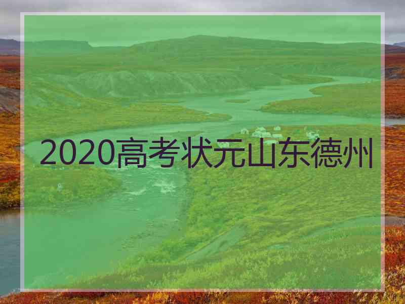 2020高考状元山东德州