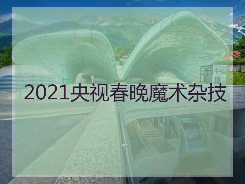 2021央视春晚魔术杂技