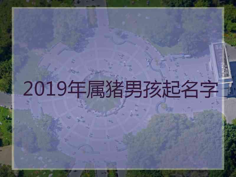 2019年属猪男孩起名字