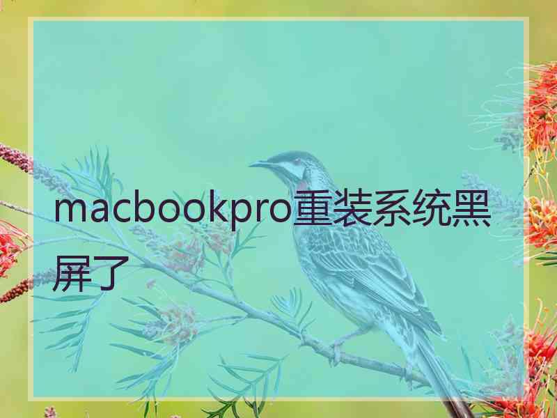 macbookpro重装系统黑屏了