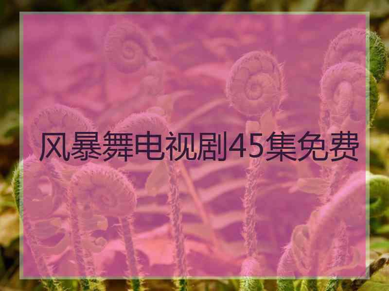 风暴舞电视剧45集免费