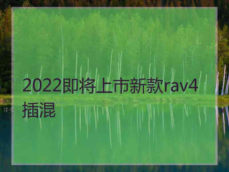 2022即将上市新款rav4插混