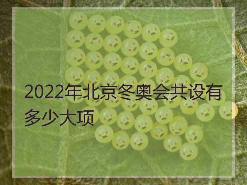 2022年北京冬奥会共设有多少大项