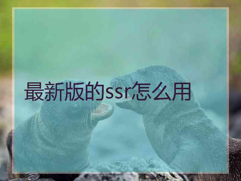 最新版的ssr怎么用