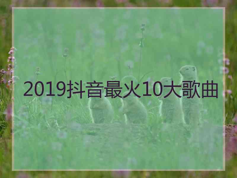 2019抖音最火10大歌曲