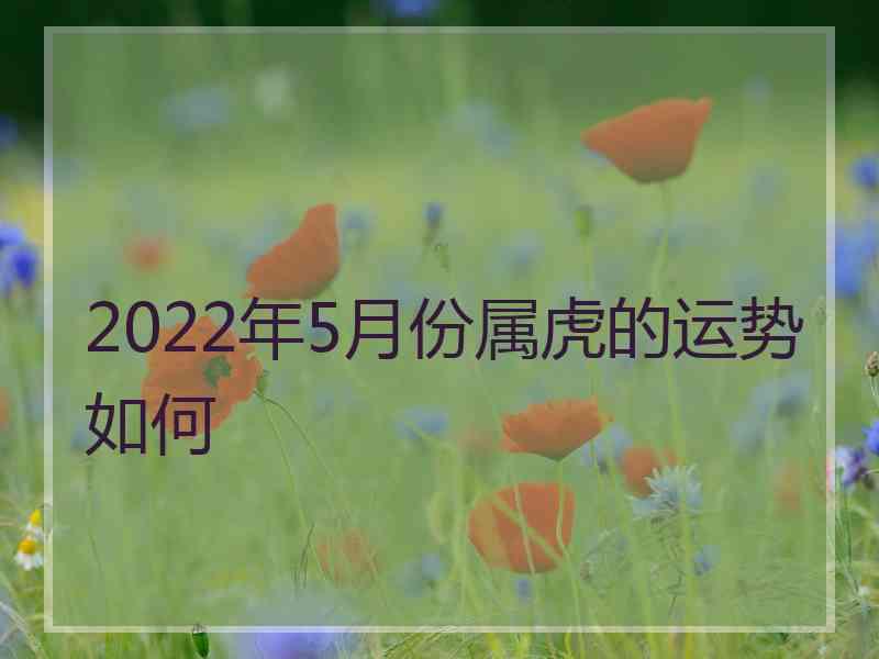 2022年5月份属虎的运势如何