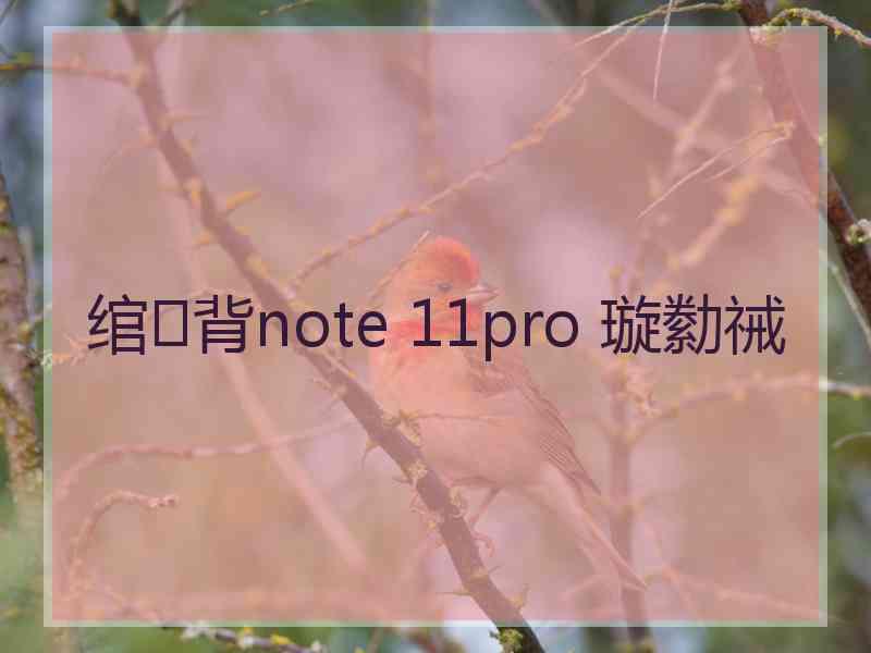 绾㈢背note 11pro 璇勬祴