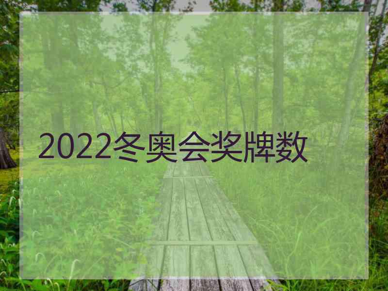 2022冬奥会奖牌数