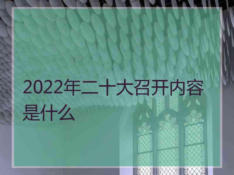 2022年二十大召开内容是什么