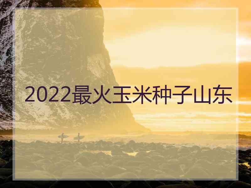 2022最火玉米种子山东