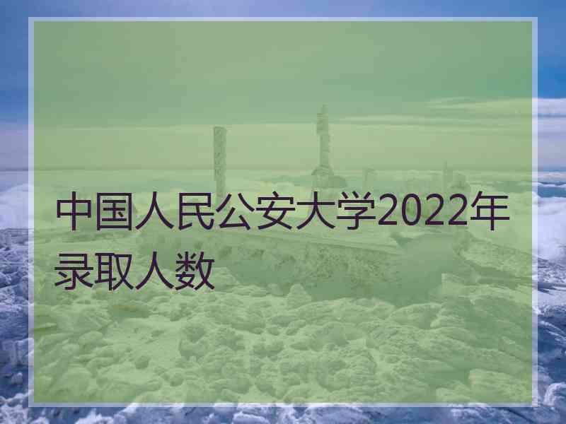 中国人民公安大学2022年录取人数