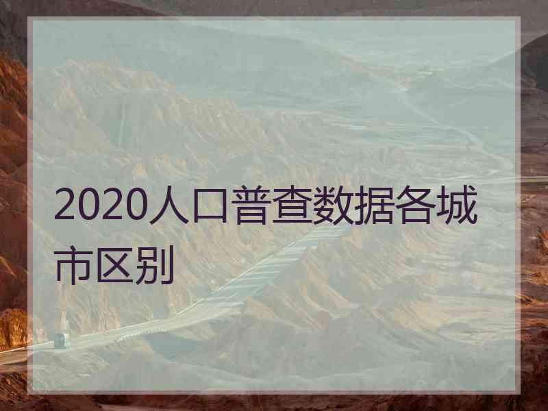 2020人口普查数据各城市区别