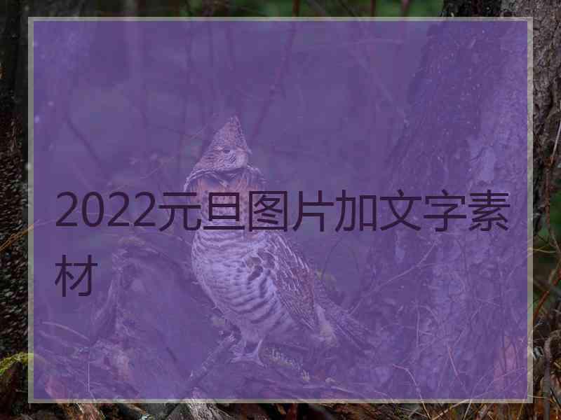 2022元旦图片加文字素材