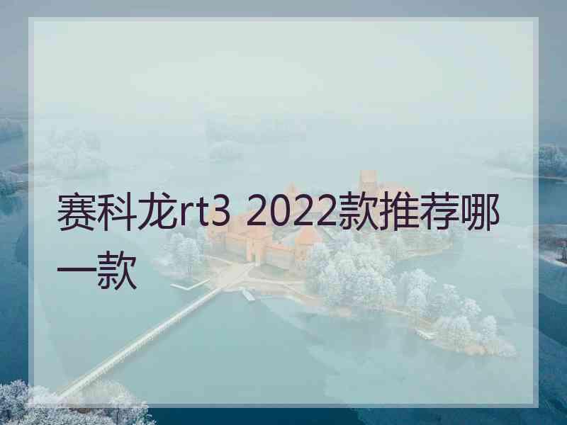 赛科龙rt3 2022款推荐哪一款