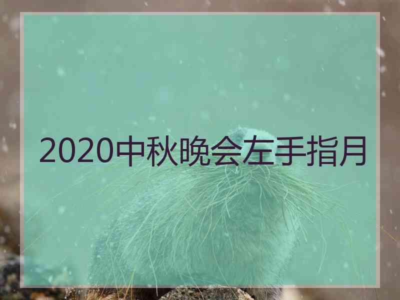 2020中秋晚会左手指月