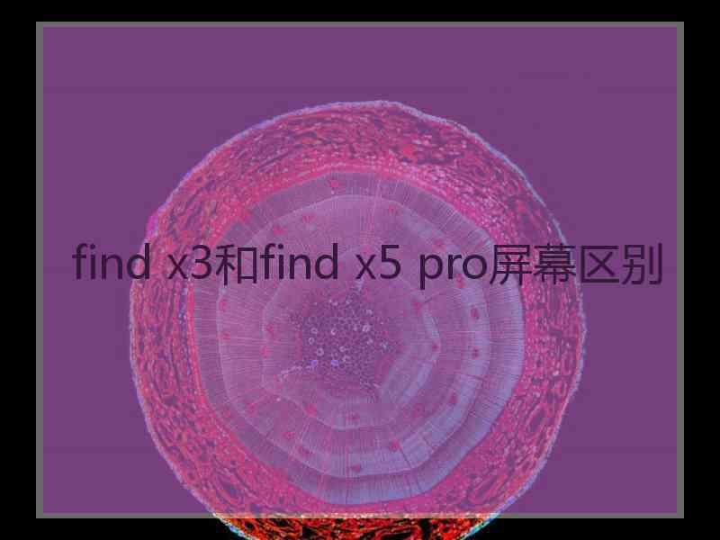 find x3和find x5 pro屏幕区别