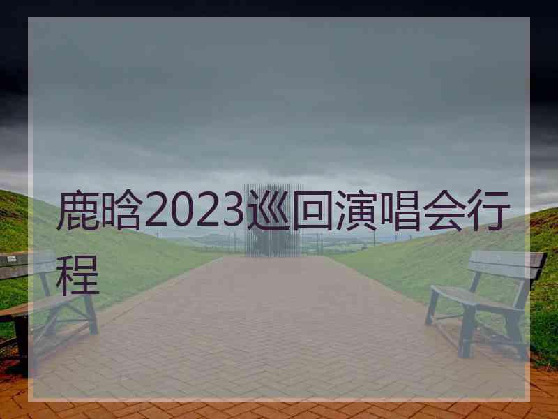 鹿晗2023巡回演唱会行程