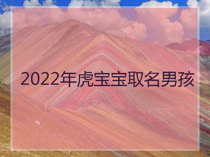 2022年虎宝宝取名男孩