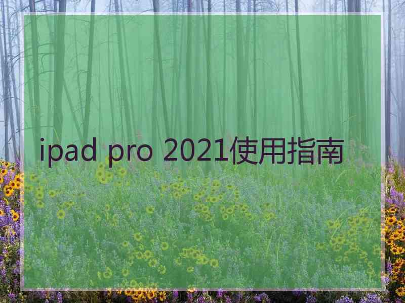 ipad pro 2021使用指南