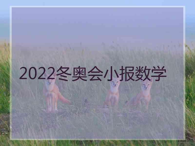 2022冬奥会小报数学