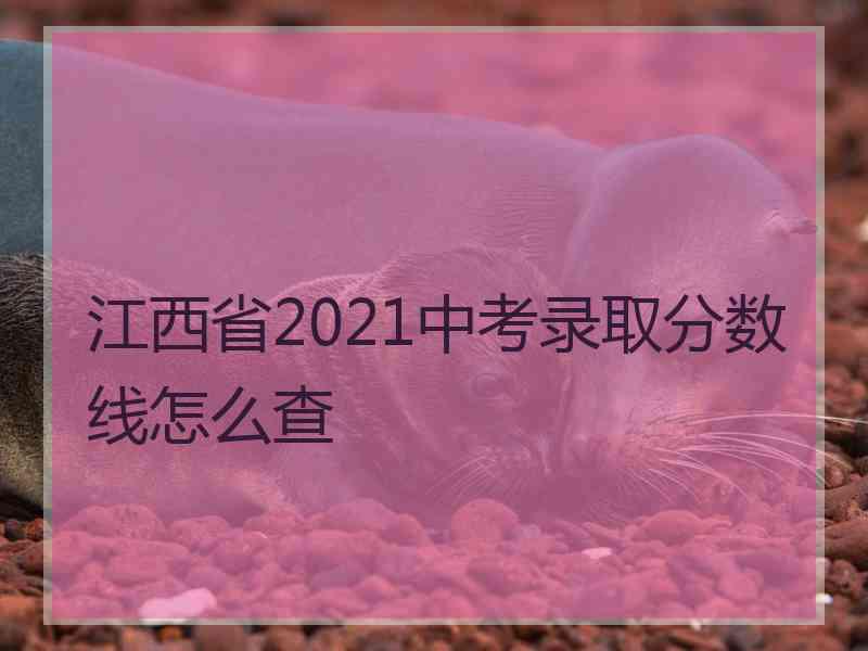 江西省2021中考录取分数线怎么查