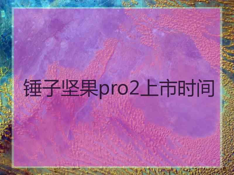 锤子坚果pro2上市时间