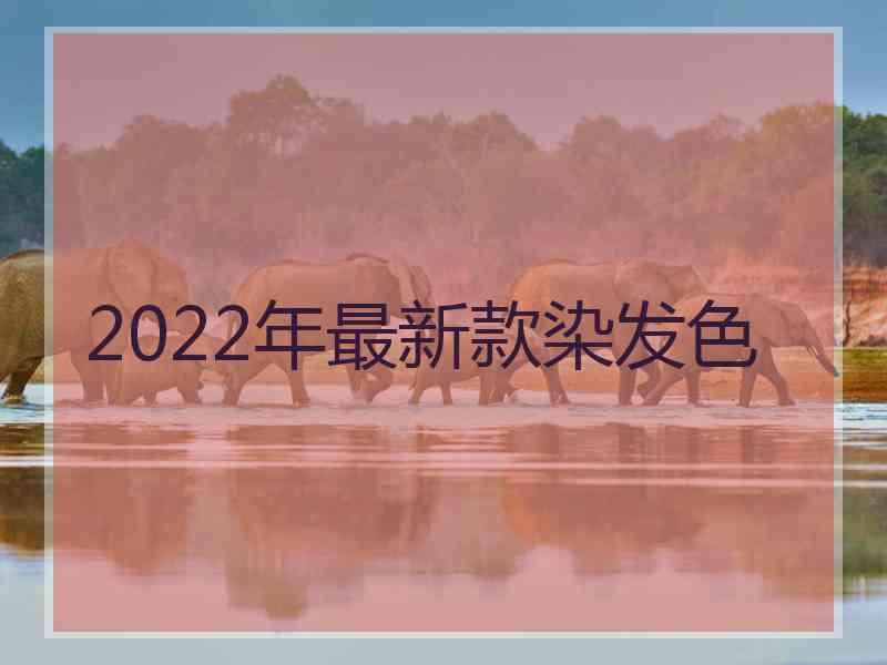 2022年最新款染发色