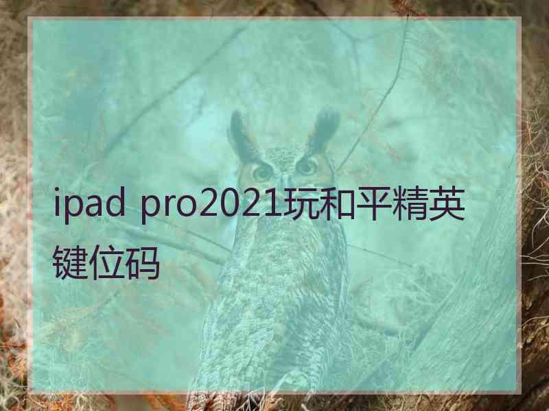 ipad pro2021玩和平精英键位码