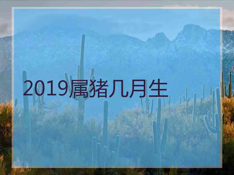 2019属猪几月生