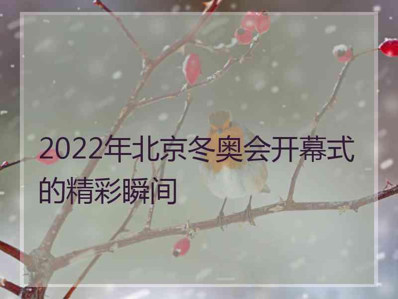 2022年北京冬奥会开幕式的精彩瞬间