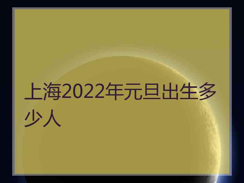 上海2022年元旦出生多少人