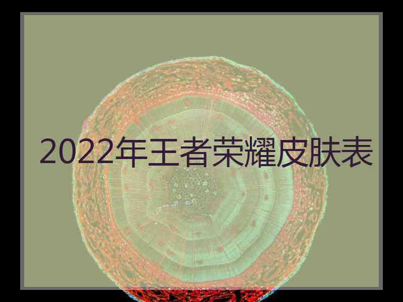 2022年王者荣耀皮肤表