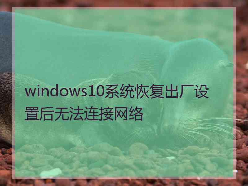 windows10系统恢复出厂设置后无法连接网络