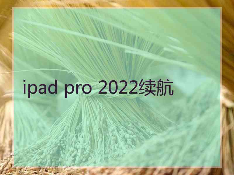 ipad pro 2022续航