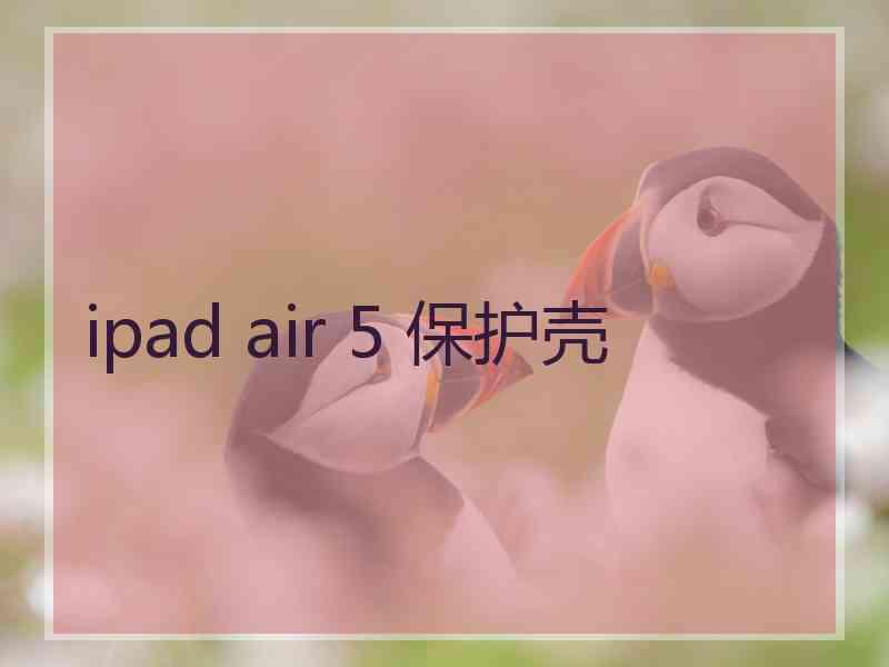 ipad air 5 保护壳