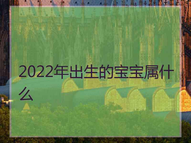 2022年出生的宝宝属什么