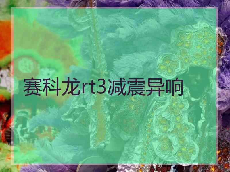 赛科龙rt3减震异响