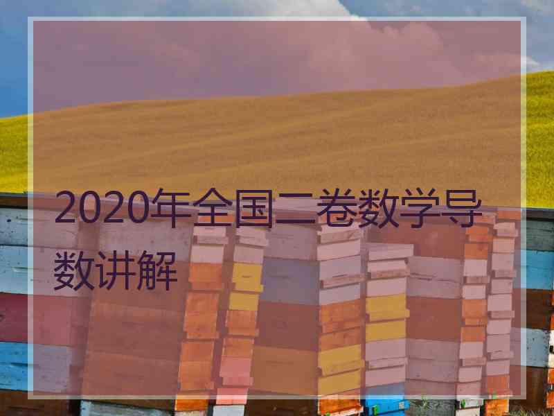 2020年全国二卷数学导数讲解