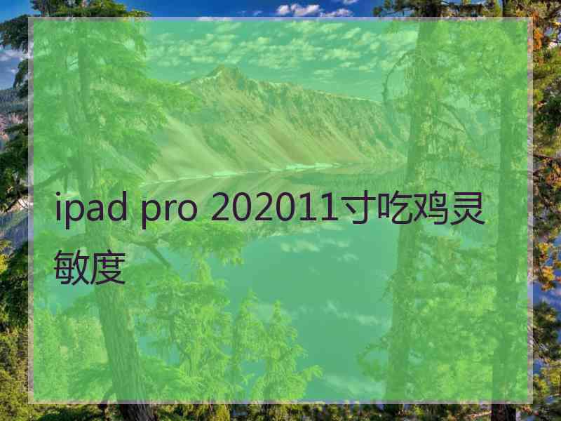 ipad pro 202011寸吃鸡灵敏度