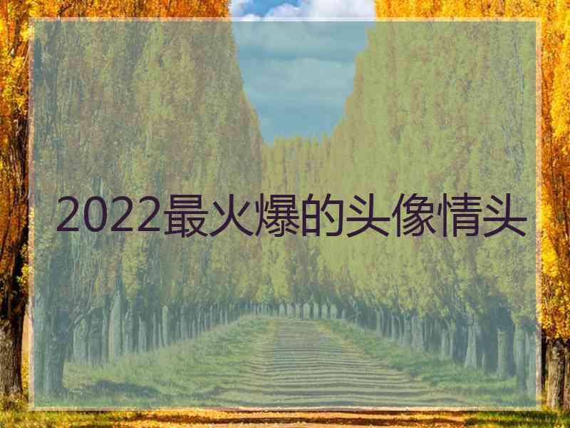 2022最火爆的头像情头