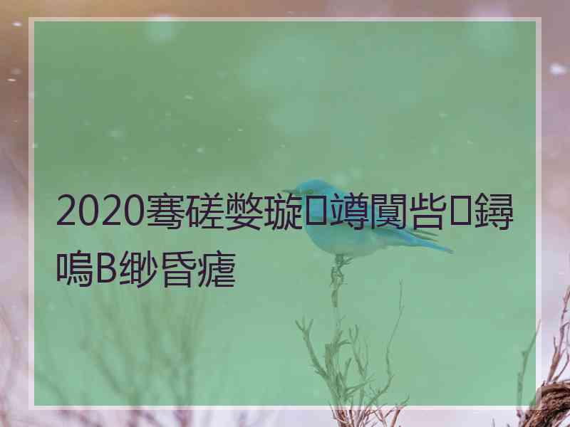 2020骞磋嫳璇竴闃呰鐞嗚В缈昏瘧