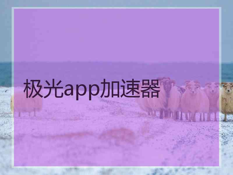 极光app加速器