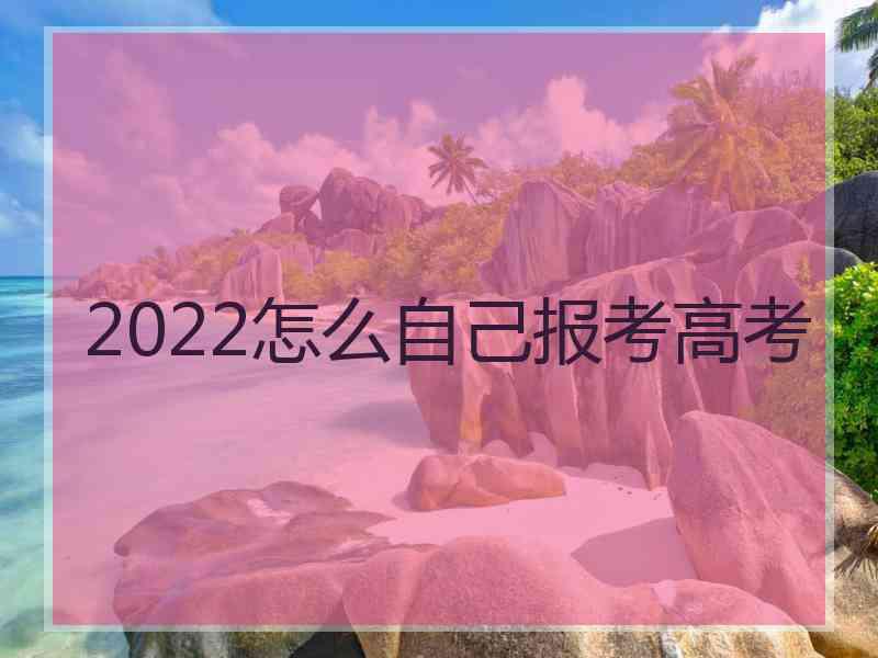 2022怎么自己报考高考